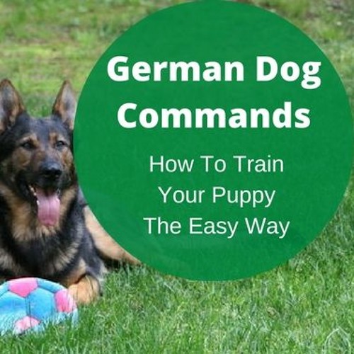 why train dog in german