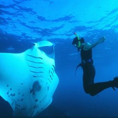 Same, Same But Different ft. Ruby Rose