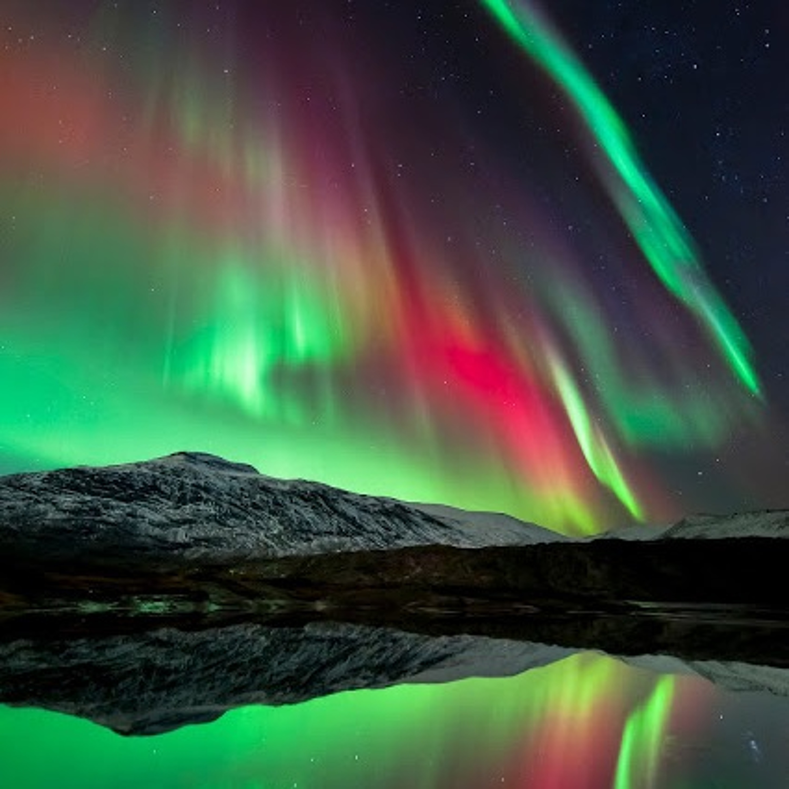 Electric in Colour