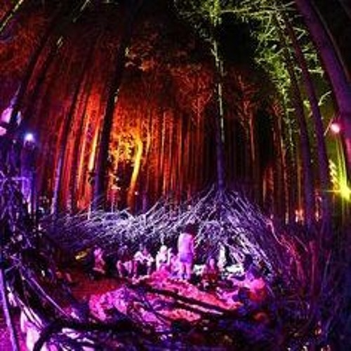 Psykelo Mix Promo Forest Style 2017.WAV