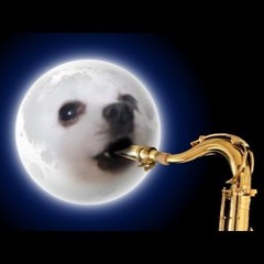 RIP Gabe The Dog // sleep tight pupper