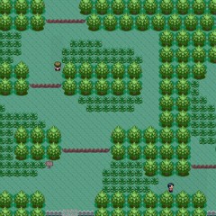 Petalburg Woods - Pokémon RSE