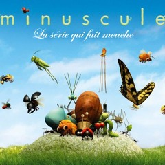 "Ladybug Chase" - Original "Minuscule" Rescore, Live Percussion (Animation/Chase)