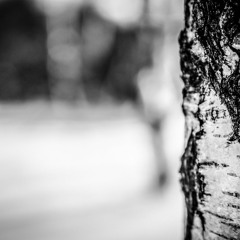 Nostalgic Winter [Instrument]