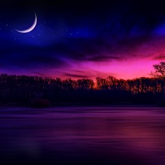 Paul Alexander - Voice Of The Moon