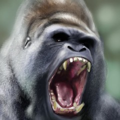 Dirty South Frank ft Kdot & Kre Forch