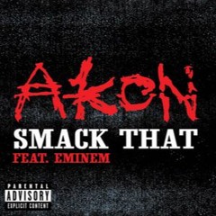 Akon - Smack That (Brad Couch Bootleg) *FREE DOWNLOAD*