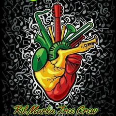 03.Cello Culture - Where is di vybe(RilMarkaTree).mp3