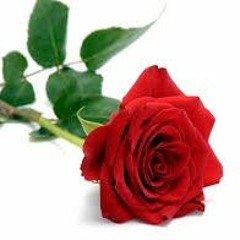 Red red rose by Robert Burns
