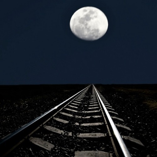 Midnight Express - Paploviante Open Collab