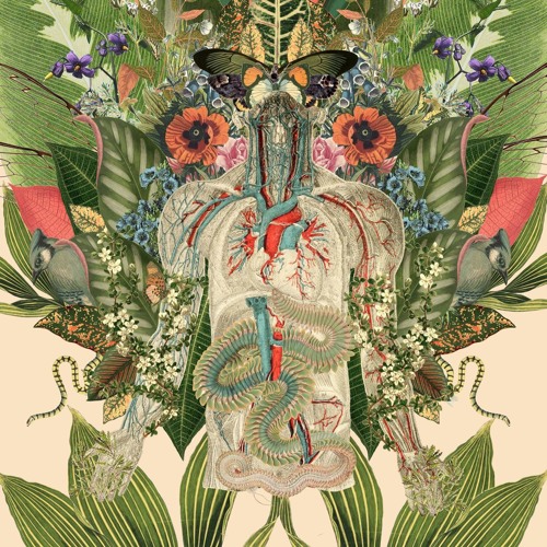 (◡‿◡) ECLECTIC ◣ ◢ EASY LISTENING (◡‿◡)