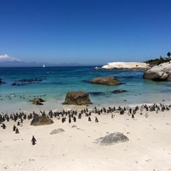 Lounge Mix January 2017 - Franck Chartier