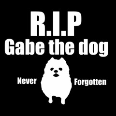 Time To Say Goodbye To Gabe. Rest In Piece my friend:(((