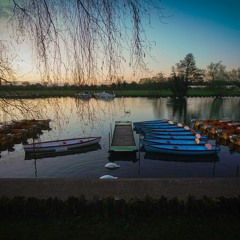 January And All Its Friends