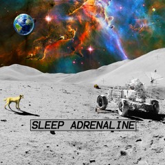 Sleep Adrenaline - Niels Julian