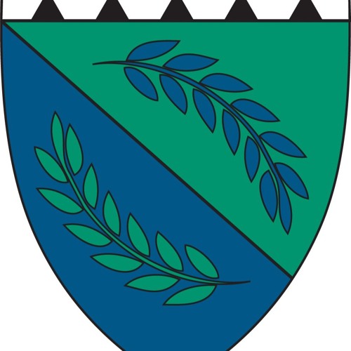 Stream Mikey Wellus Listen to An Oral History Project of an Oral