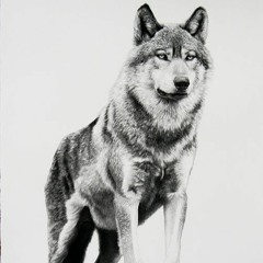 TeenageWerewolf