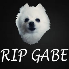 The RIP Gabe Song (INSTRUMENTAL)