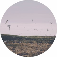 Migration (Snip.)