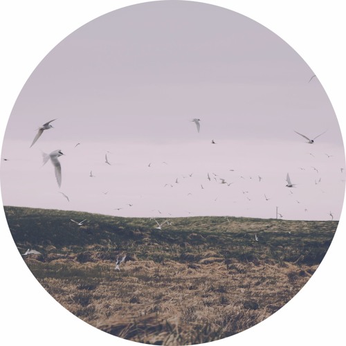 Migration (Snip.)