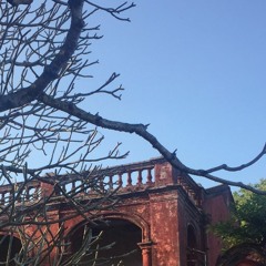 Precious Lord, take my hand