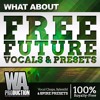 Video herunterladen: Free Future Vocals & Presets