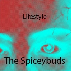 Lifestyle   The Spiceybuds