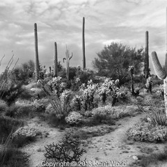 Bus-Stop Rap Demo (Scarface Edit)