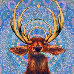 <>