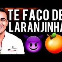 JUNIOR VIANNA - LARANJINHA (MÚSICA NOVA - VERÃO 2017)