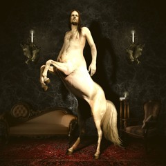 Venetian Snares - Deleted Poems