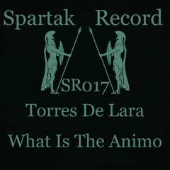 Torres De Lara- What Is The Animo