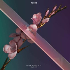 Flume - Never Be Like You (Acapella) CLICK BUY FOR FREE DOWNLOAD