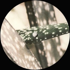 S.A.M. - Delaphine 007 (DELAPHINE007)