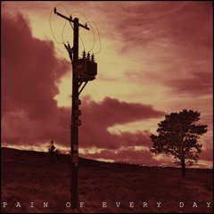 Machinista - Pain Of Every Day (Assemblage 23 Remix)