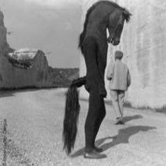 Henry Kirkup 017 Rooftop Mix