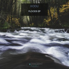 floods (keep swimming)
