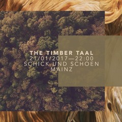 The Timber Taal live @ schick & schön bar (21. Jan. 2017)