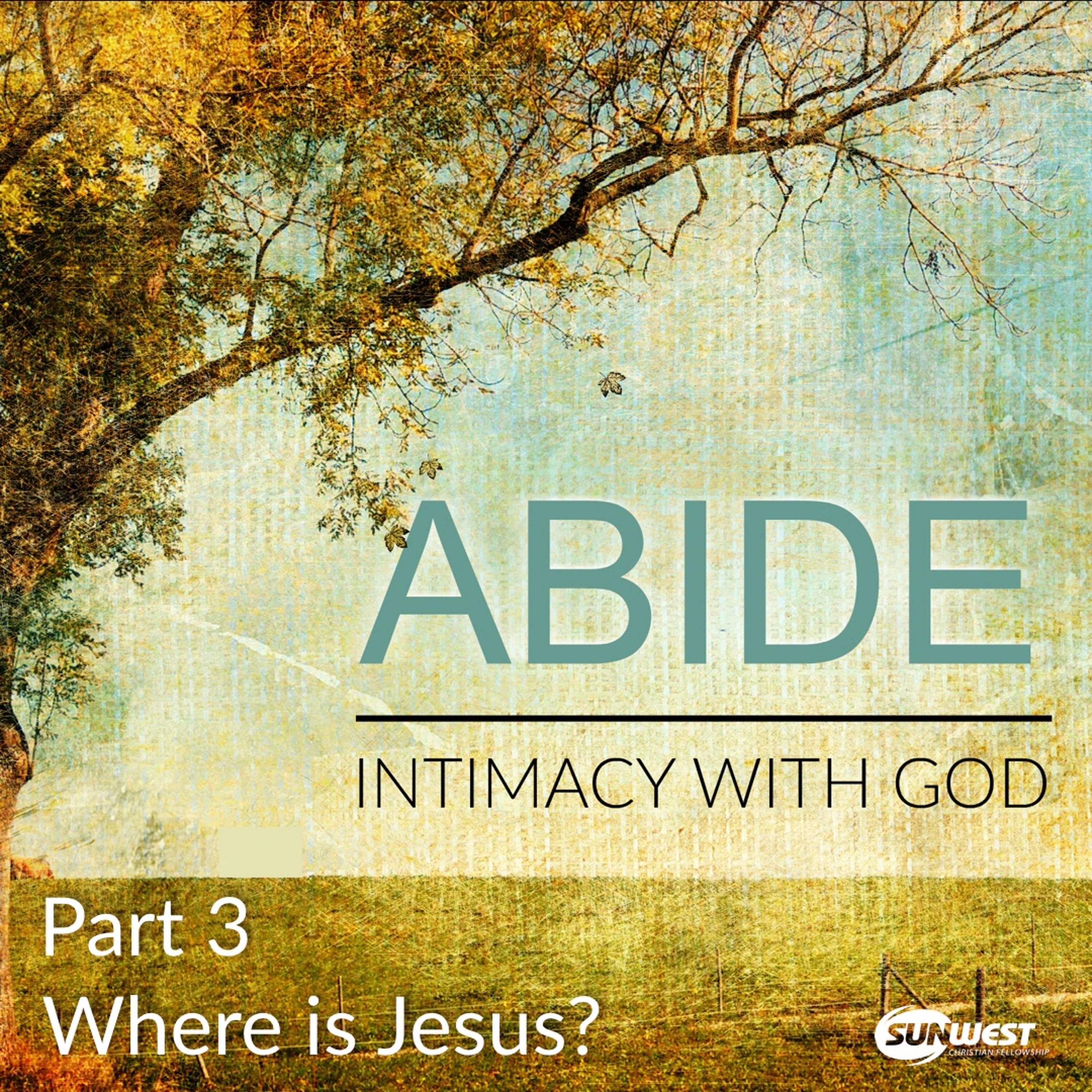 2017-01-22 Abide - Part 3: Where is Jesus?, Matt Dyck episode artwork