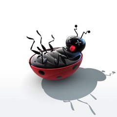 How To Kill A Lady Bird