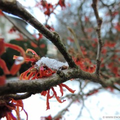 Retro Extreme! Part Five