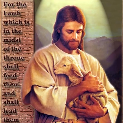 مراحمك يا الهى هى كثيرة جدا