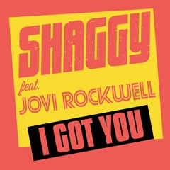 shaggy_i got you (mashup )by( i got you riddim)