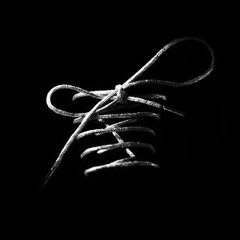 Shoestrings - La Socket