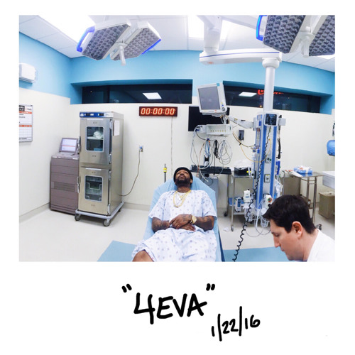 4Eva (feat. Verse Simmonds)