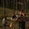 ironbark-the-waifs-music