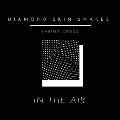 Diamond Skin Snakes ft. Sarina Cross  - In The Air  {FREE DOWNLOAD}