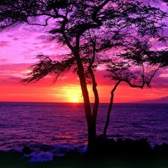 rhymin' (feat. jay-p)