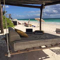 WooMoon Mix - January 2017 - Franck Chartier