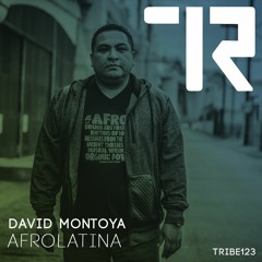 David Montoya ft. Elizabeth Acevedo - Afrolatina (Available Now)